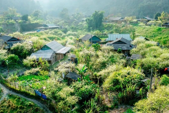 Giấc mơ trên “cổng trời” Mường Lống