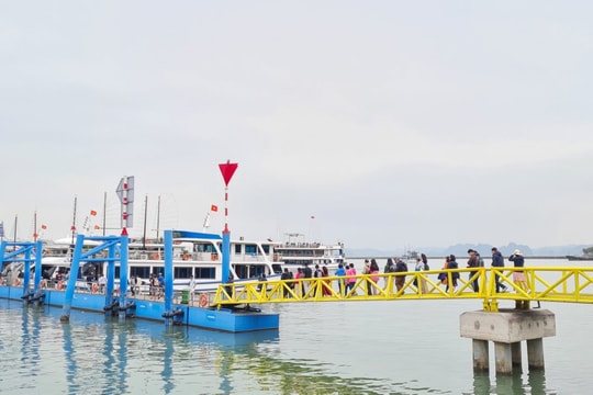 Trên 31.000 lượt khách tham quan Vịnh Hạ Long dịp Giỗ Tổ