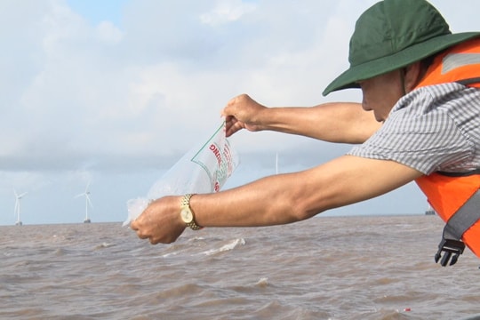 Thả hơn 3 triệu con giống tái tạo nguồn lợi thủy sản