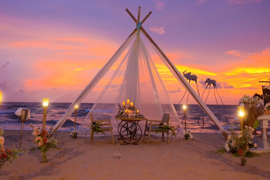 Hành trình của giới tinh hoa - từ sở hữu tài sản tới những trải nghiệm thượng lưu