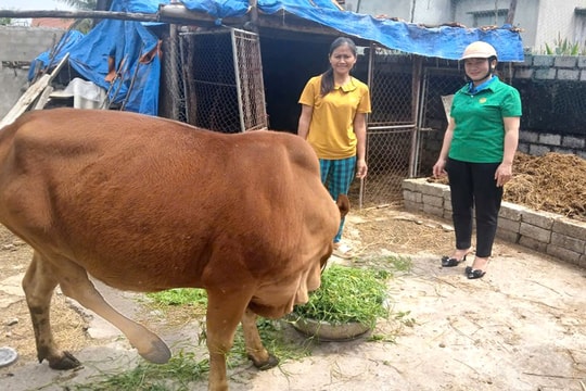 Khi đồng vốn chính sách về đến tận tay nông dân