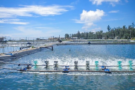 Quý I/2025: Nông, lâm, thủy sản bật tăng mạnh