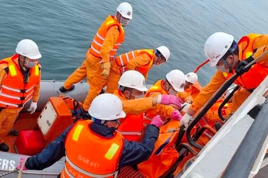 Tàu hàng quốc tế 120m đâm va tàu cá, 12 người gặp nạn