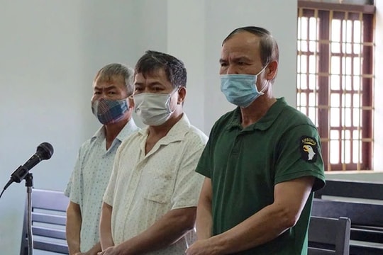 Trả hồ sơ vụ án hủy hoại rừng để điều tra bổ sung