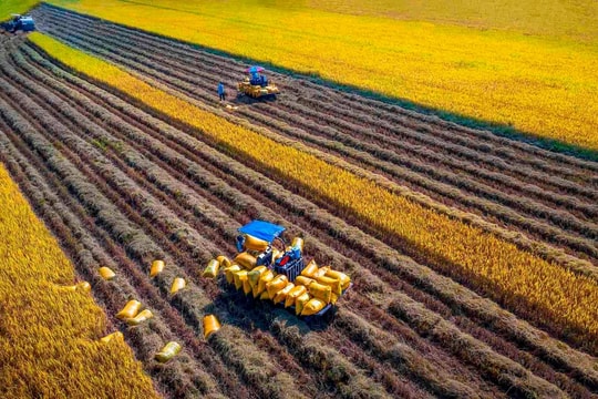 Thẩm quyền, thủ tục xác lập quyền sở hữu toàn dân về tài sản và xử lý đối với tài sản