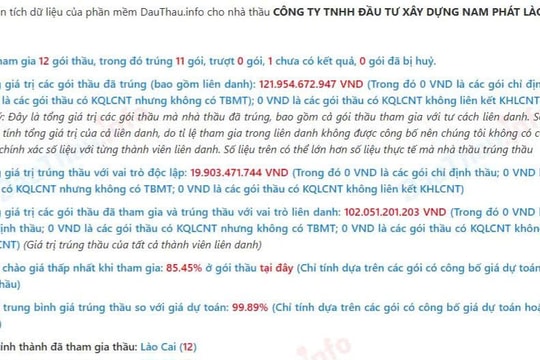 Công ty Nam Phát Lào Cai kê khai năng lực như thế nào để trúng thầu?