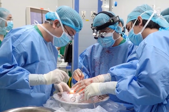 7 bệnh nhân hồi sinh từ tạng của người đàn ông chết não