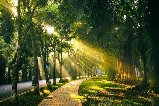 Thời tiết ngày 10/4: Miền Trung có nắng nhưng không nóng