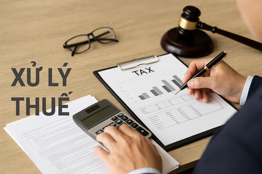 Hà Nội kiểm tra công tác xử lý vi phạm hành chính về thuế tại 11 quận, huyện