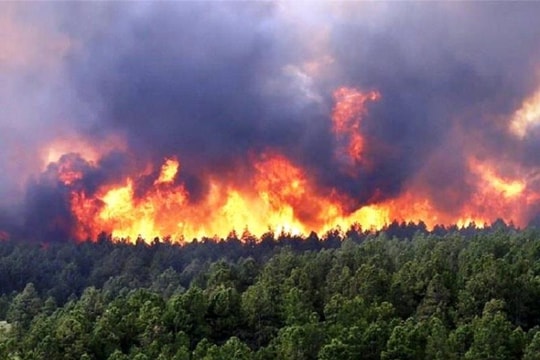 Quảng Ngãi: Tăng cường công tác phòng cháy, chữa cháy rừng