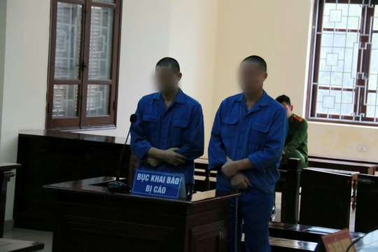 Xét xử hai anh em tàng trữ ma túy