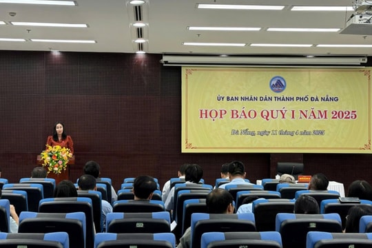 Đà Nẵng: Đề xuất lấn biển đang được nghiên cứu, chưa triển khai thực tế