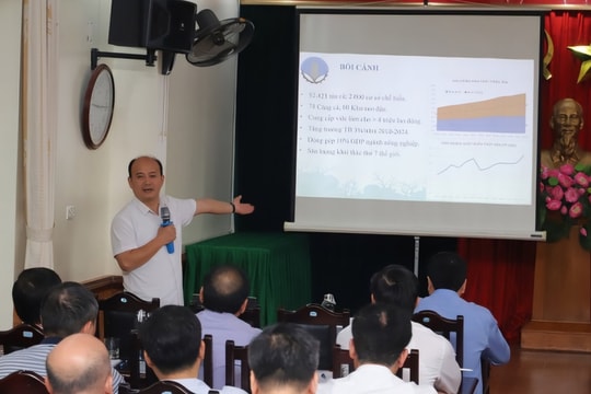 Bàn giải pháp phát triển khai thác thủy sản bền vững