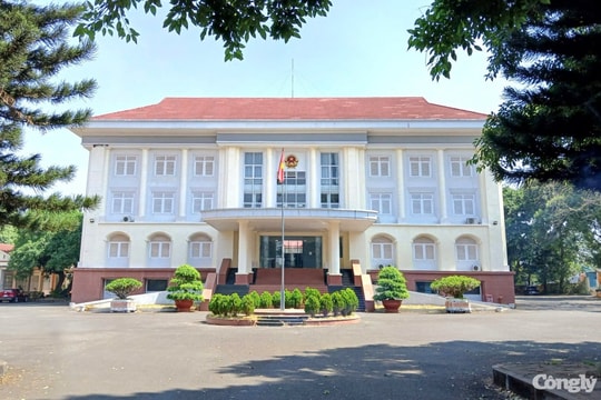 Gia Lai: Thu hồi quyết định công nhận 61 giáo viên trúng tuyển