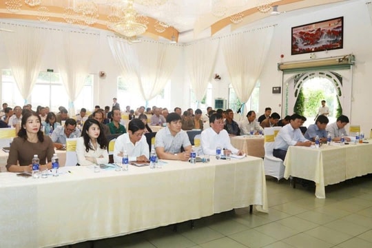 Lâm Đồng: Quản lý chặt chẽ chất lượng sầu riêng