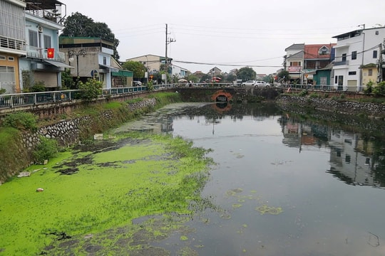 Nghệ An: Kênh hào thành cổ ô nhiễm nghiêm trọng