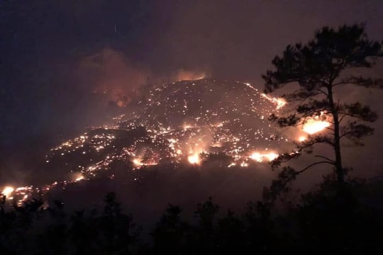 Cháy rừng ở Bình Liêu và Hạ Long, hàng trăm người được huy động dập lửa