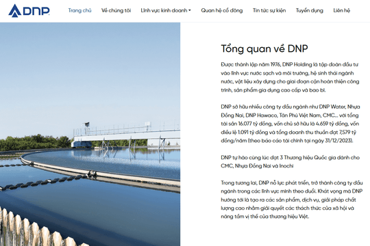 Xử phạt Công ty Cổ phần DNP Holding vì vi phạm môi trường
