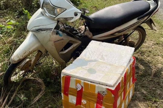 Phát hiện hai vụ vận chuyển rắn và lâm sản trái phép