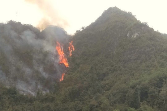 Cháy hơn 10ha rừng phòng hộ ở Cao Bằng