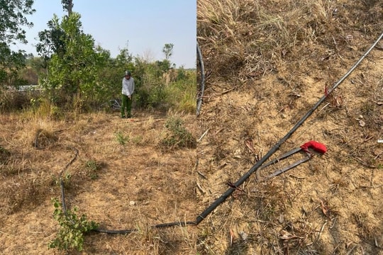 Điều tra tình trạng kẻ gian liên tiếp trộm cắp dây dẫn điện chiếu sáng