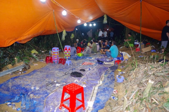 Bắt quả tang 36 đối tượng đánh bạc trong rừng tre