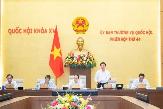 Quy định số lượng lãnh đạo, chế độ chính sách tại tỉnh, xã sáp nhập