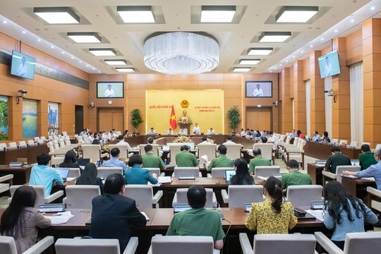 Thủ tục dẫn độ phải bảo đảm minh bạch, hiệu quả