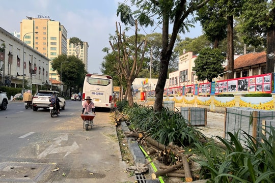 TP.HCM: Nhiều đơn vị phớt lờ quy định khi thi công vỉa hè
