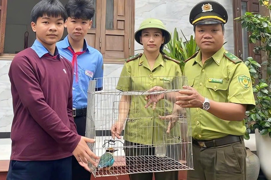 Học sinh lớp 9 ở Huế giao nộp chim đuôi cụt bụng đỏ quý hiếm
