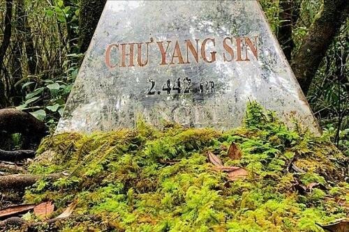 Vì một Chư Yang Sin xanh mãi