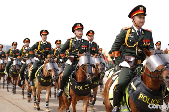 "Mục sở thị" nơi chăm sóc dàn Kỵ binh phục vụ diễu hành 30/4