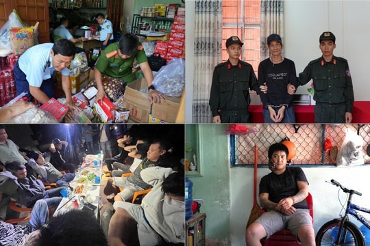 Công an tỉnh Bình Thuận khám phá án về trật tự xã hội đạt trên 85%