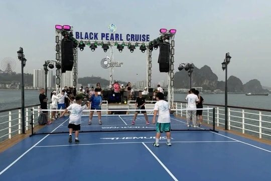Pickleball trên boong tàu: Giải trí hay mạo hiểm giữa vịnh di sản?