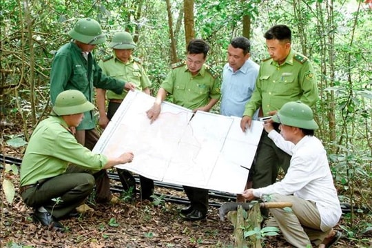 Vĩnh Phúc: Đồng bộ giải pháp bảo vệ và phát triển rừng