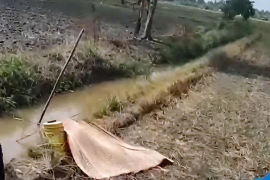 Người đàn ông tử vong do đạp phải đường dây điện cài bẫy chuột