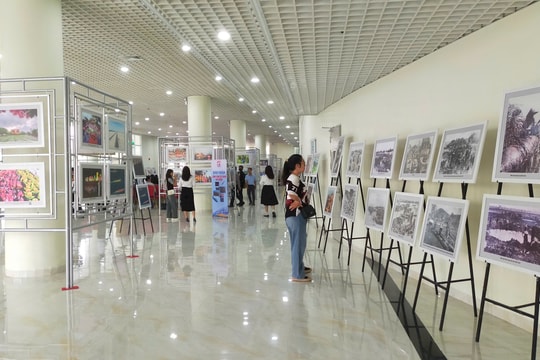 Bình Thuận tổ chức triển lãm ảnh 50 năm phát triển