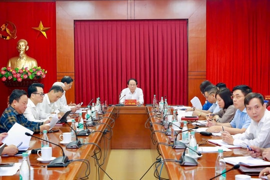 Hải Phòng: Đưa 4 dự án có dấu hiệu vi phạm vào diện theo dõi, chỉ đạo xử lý