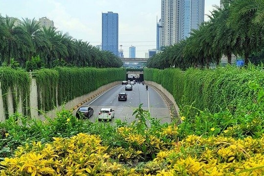 Bất động sản Việt Nam dần phát triển theo xu hướng xanh