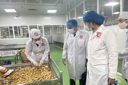 Hà Nội siết chặt quản lý giết mổ động vật, tăng cường an toàn thực phẩm