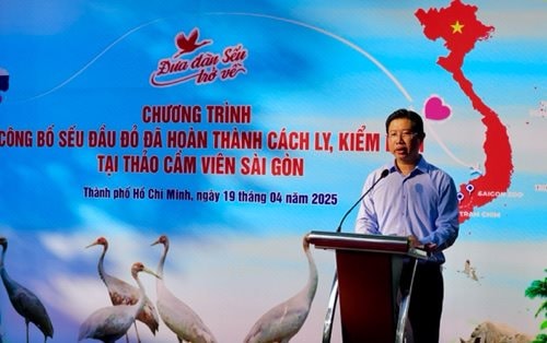 6 cá thể sếu đầu đỏ đã được đưa về Vườn quốc gia Tràm Chim