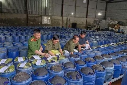 Hàng “bẩn”, nỗi lo từ bàn ăn đến giường bệnh