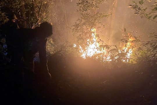 Công an Hà Nội điều tra nguyên nhân vụ cháy rừng tại Vườn Quốc gia Ba Vì