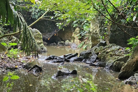 Xử phạt trang trại nuôi lợn gây ô nhiễm nước suối Lèn Cò Noóng