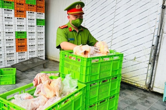 Hà Nội: Ngăn chặn 20 tấn gà "bẩn" tuồn ra thị trường