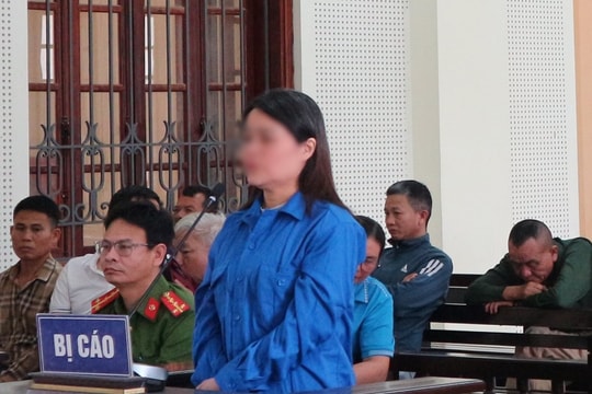 Mạo danh luật sư để lừa đảo chiếm đoạt tài sản