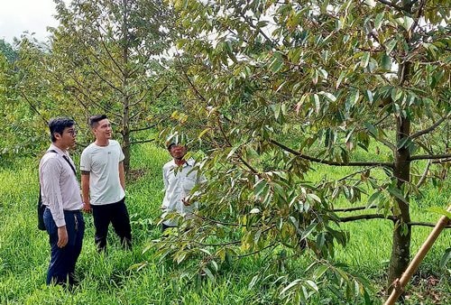 Nguồn vốn chính sách: Chìa khóa tái hòa nhập cộng đồng