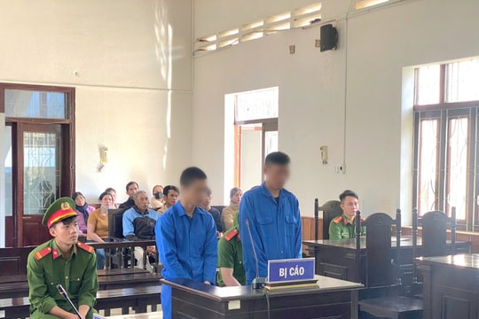 Vận chuyển thuê ma túy, hai thanh niên lĩnh 40 năm tù