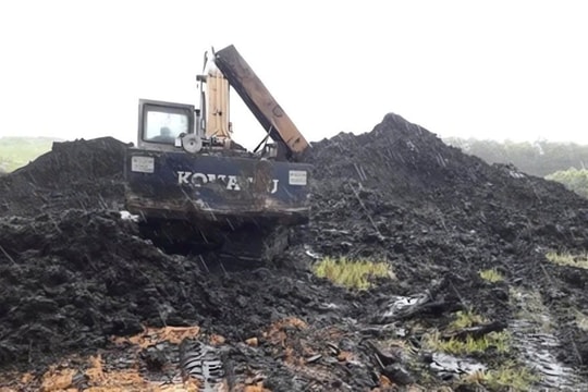 Cho thuê hơn 28.000m² đất để khai thác than bùn tại Huế