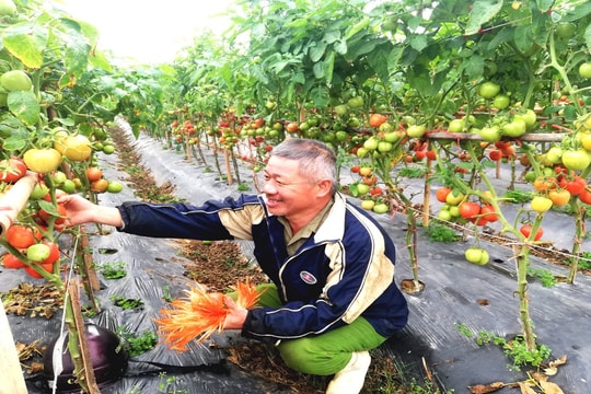 Vốn chính sách – Nhịp cầu nối từ gian khó đến ngày mai tươi sáng